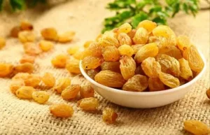 بهترین کشمش طلایی تیزابی + قیمت خرید عالی