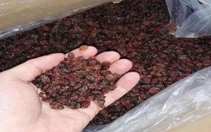 بهترین کشمش پلویی کارتنی + قیمت خرید عالی